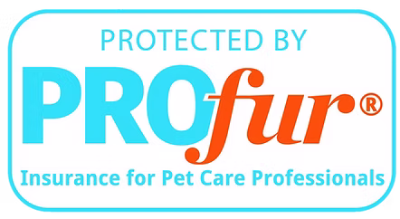 Professional Certification